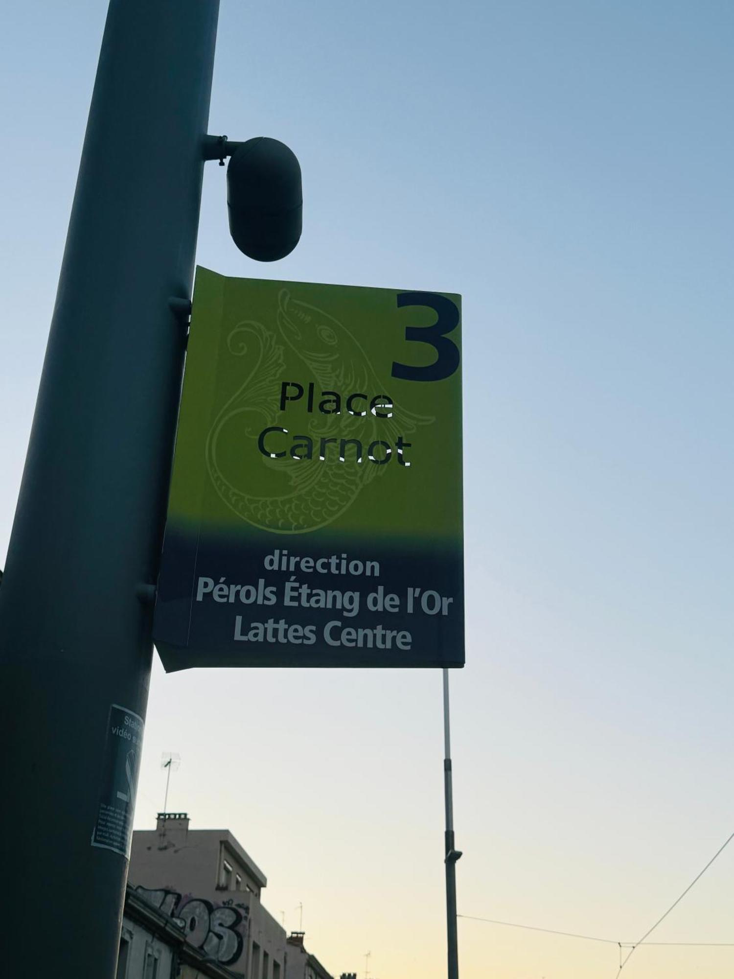 Paradis Calme En Plein Centre Ville Montpellier Kültér fotó